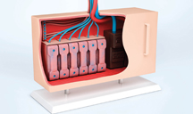 小七短信在线网页轰炸